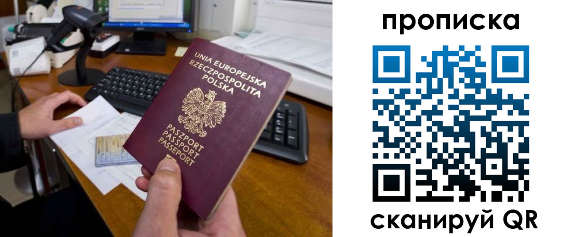 прописка для школы в Ефремове